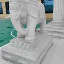 吕梁 白麻花岗岩动物异形石雕-大象