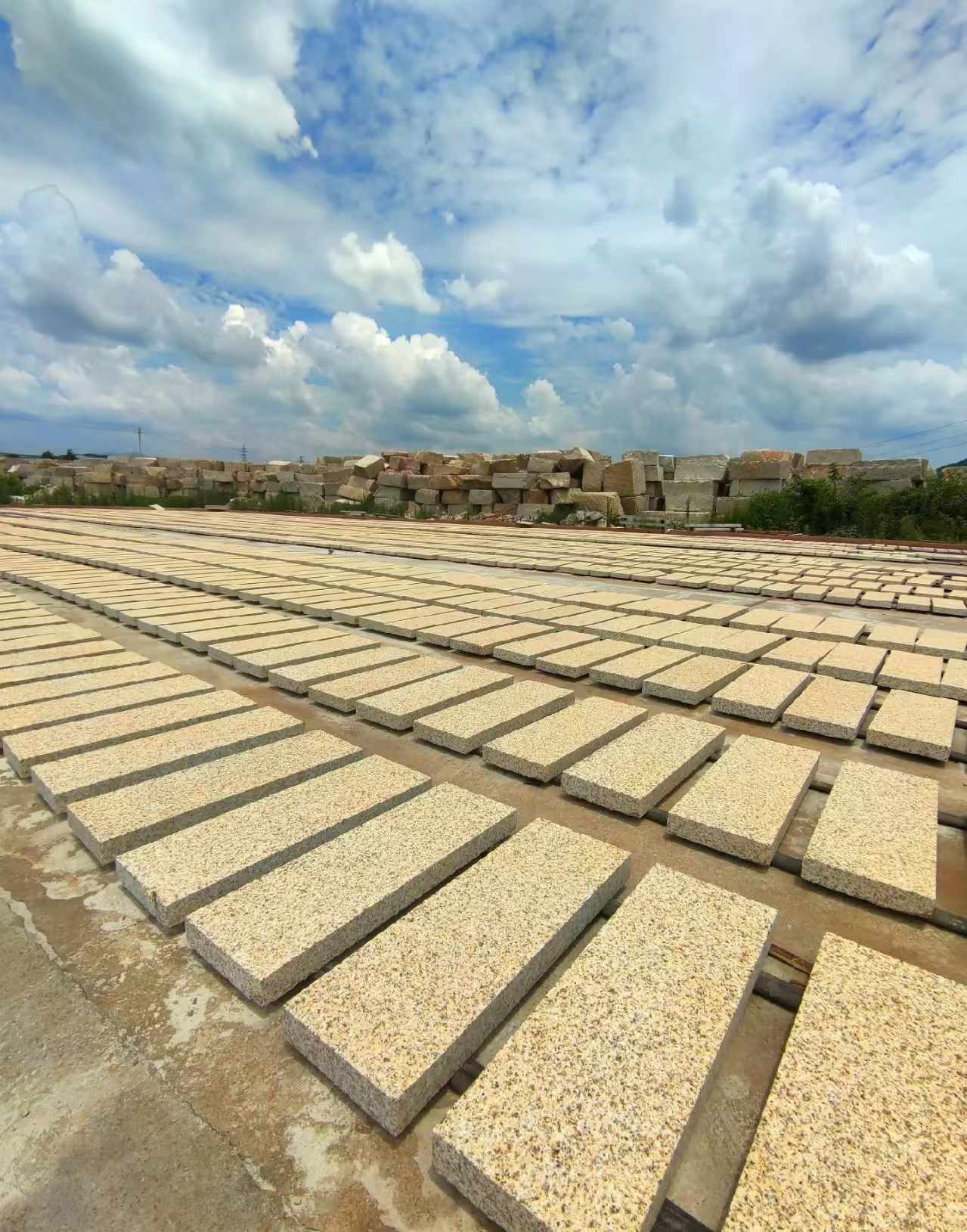 吕梁 黄金麻荔枝面花岗岩石材地铺石防护中