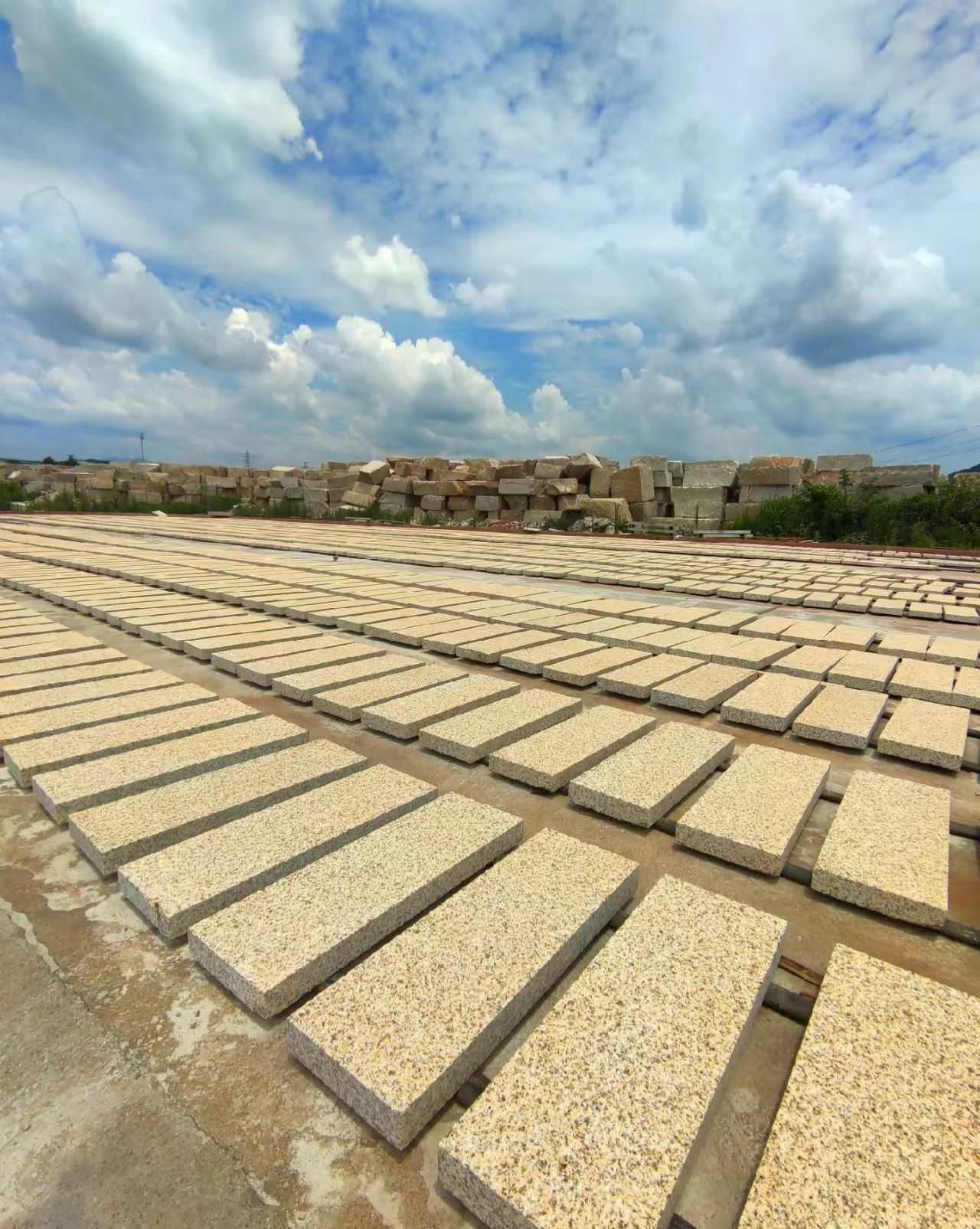 吕梁 黄金麻花岗岩荔枝面地铺石防护中